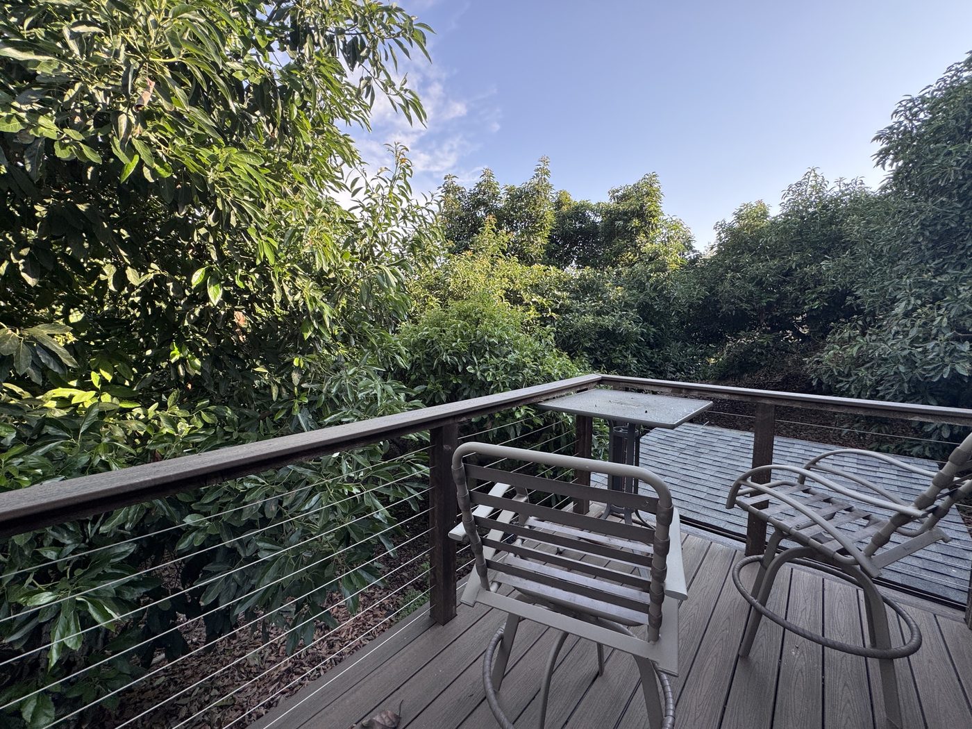 Private deck off the barn studio opening into the avocado canopy